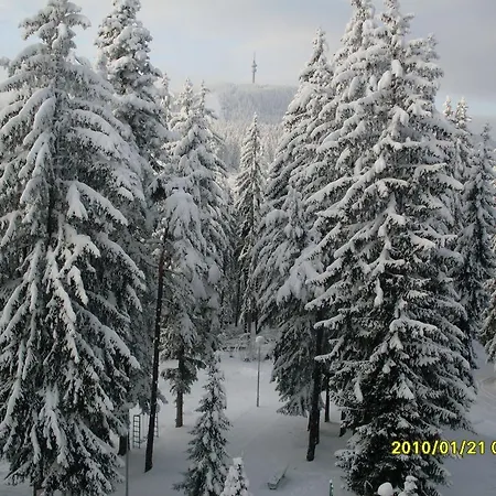 Хотел елина 3*