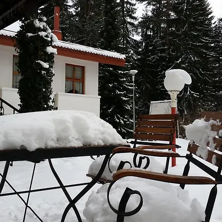 Хотел елина