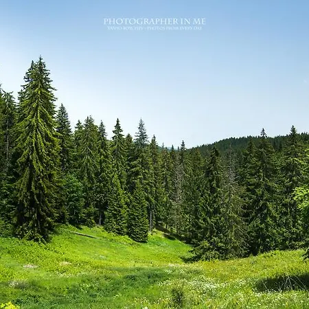 호텔 엘리나 팜포로보