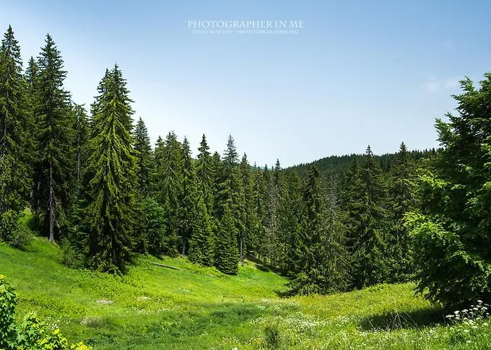 Hotel Elina Pamporovo